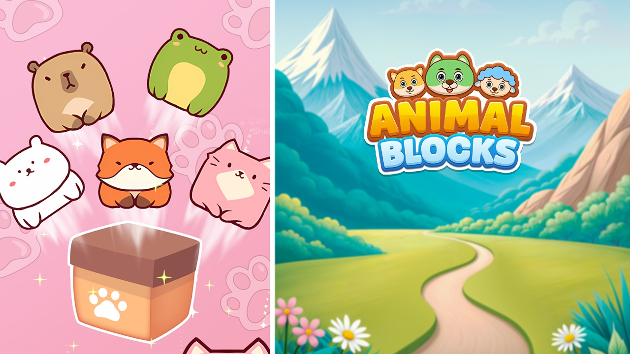 Animal Blocks