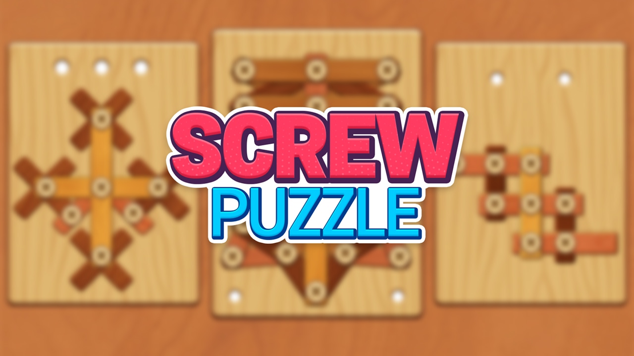 Wood Screw Puzzle
